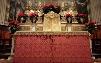 Velvets for Sacred Furnishings and Vestments